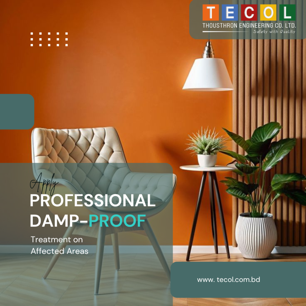 Apply Professional Damp-Proof Treatment on Affected Areas