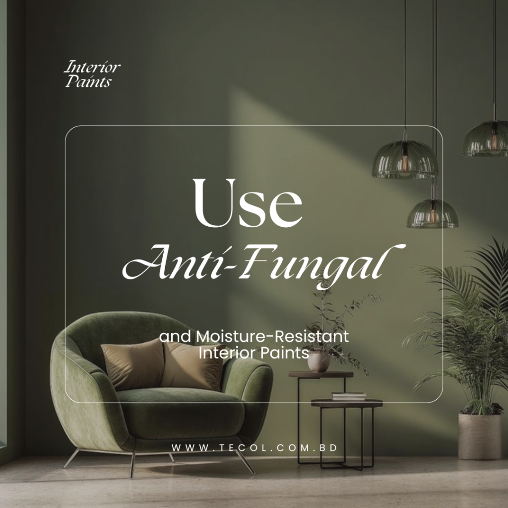 Use Anti-Fungal and Moisture-Resistant Interior Paints